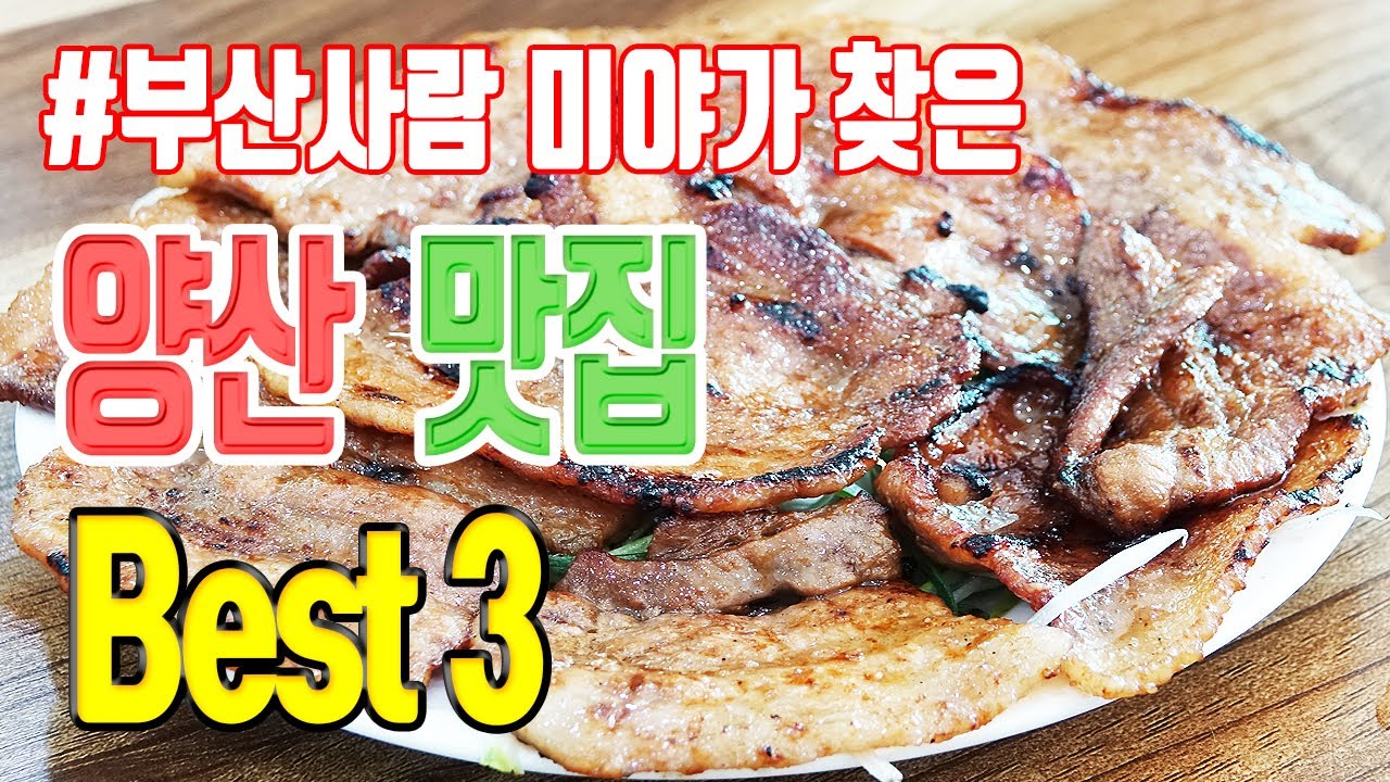부산 사람 미야가 찾은 양산 맛집 3선 | 맛집탐방 양산맛집 | 석촌 황산벌국수 육전국밥 | 연탄석쇠불고기 잔치국수 비빔국수 | K food 미야킴티비