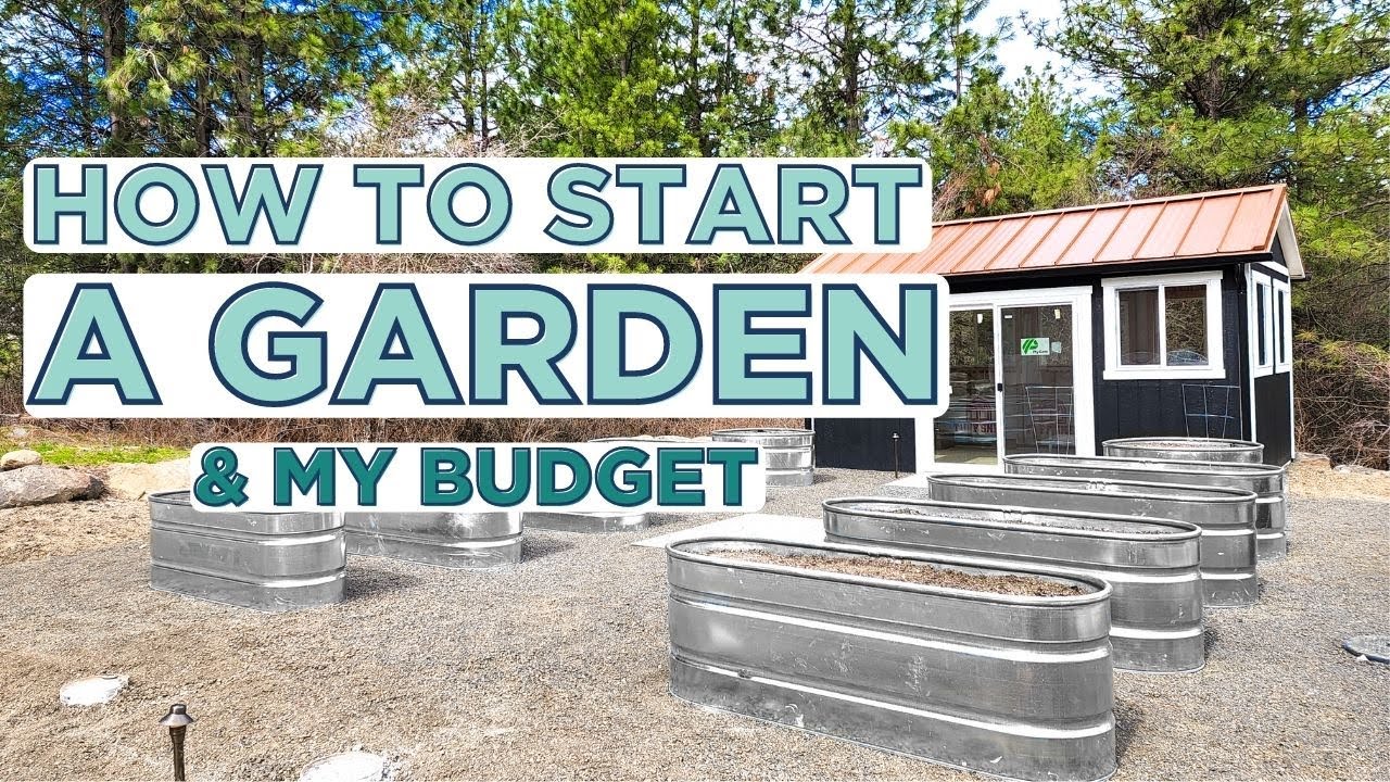 GROWING YOUR FIRST GARDEN | Budget Tips + Planning