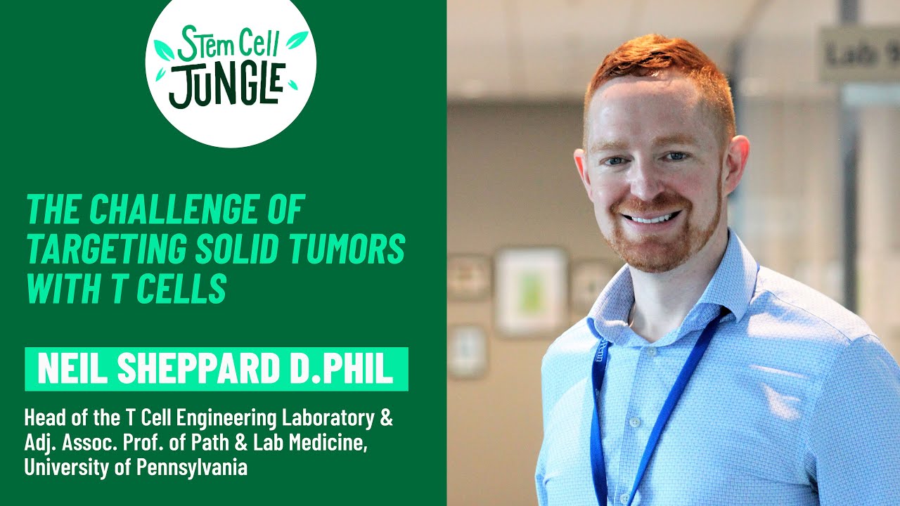 The challenge of targeting solid tumors with T cells I TIL therapies I TCR Ts