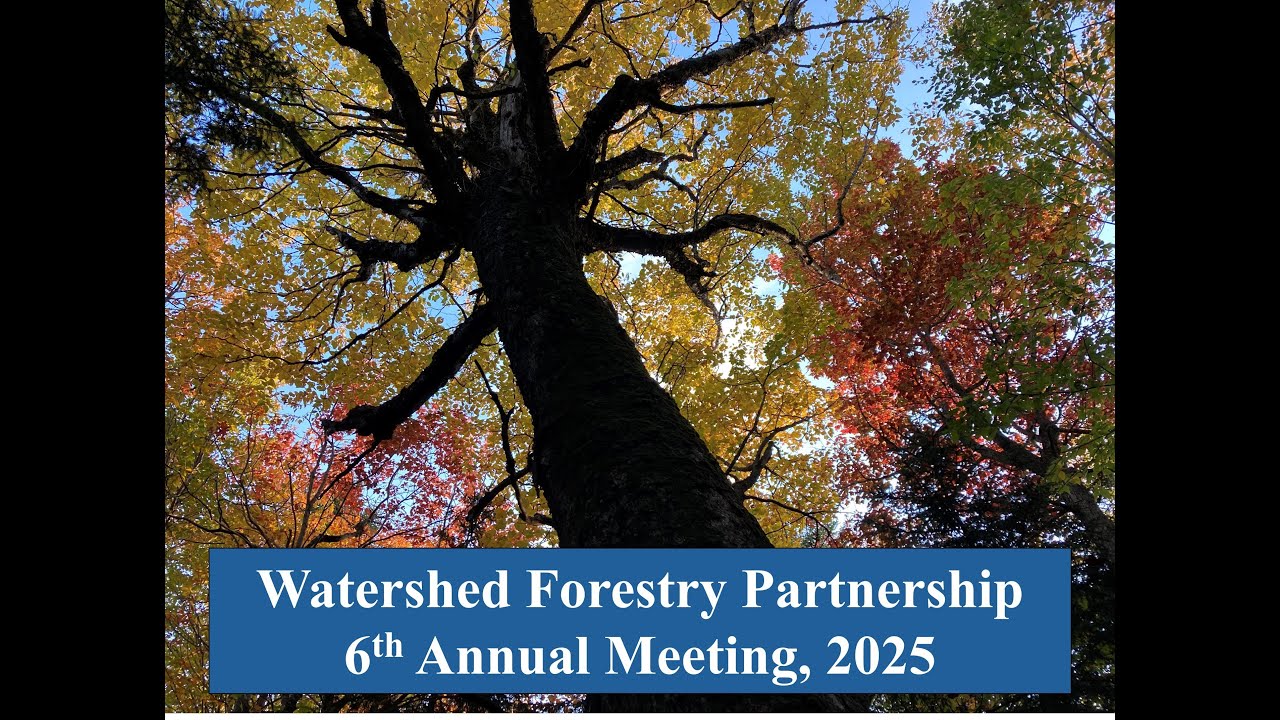 2025 Watershed Forestry Meeting Recording - Silver Maple Room Sessions