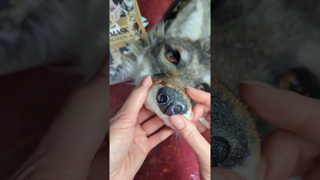 Wolf part 10 - Nose #wolfmask #tutorial #maskmaking #therian #theriangear #furry #otherkin #fyp