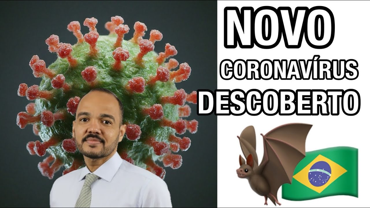 NOVA PANDEMIA COVID-19? Cientistas descobrem novo coronav&iacute;rus em morcegos brasileiros