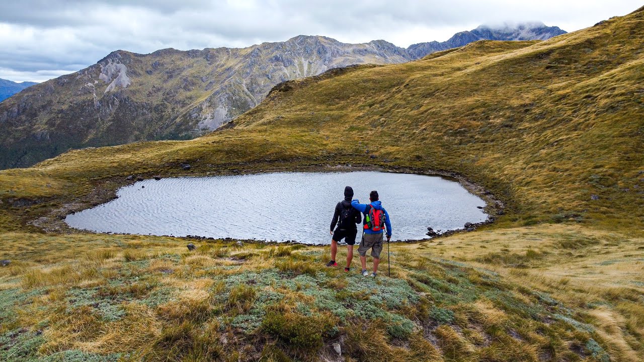 Lewis Pass Scenic Reserve - Lewis Tops