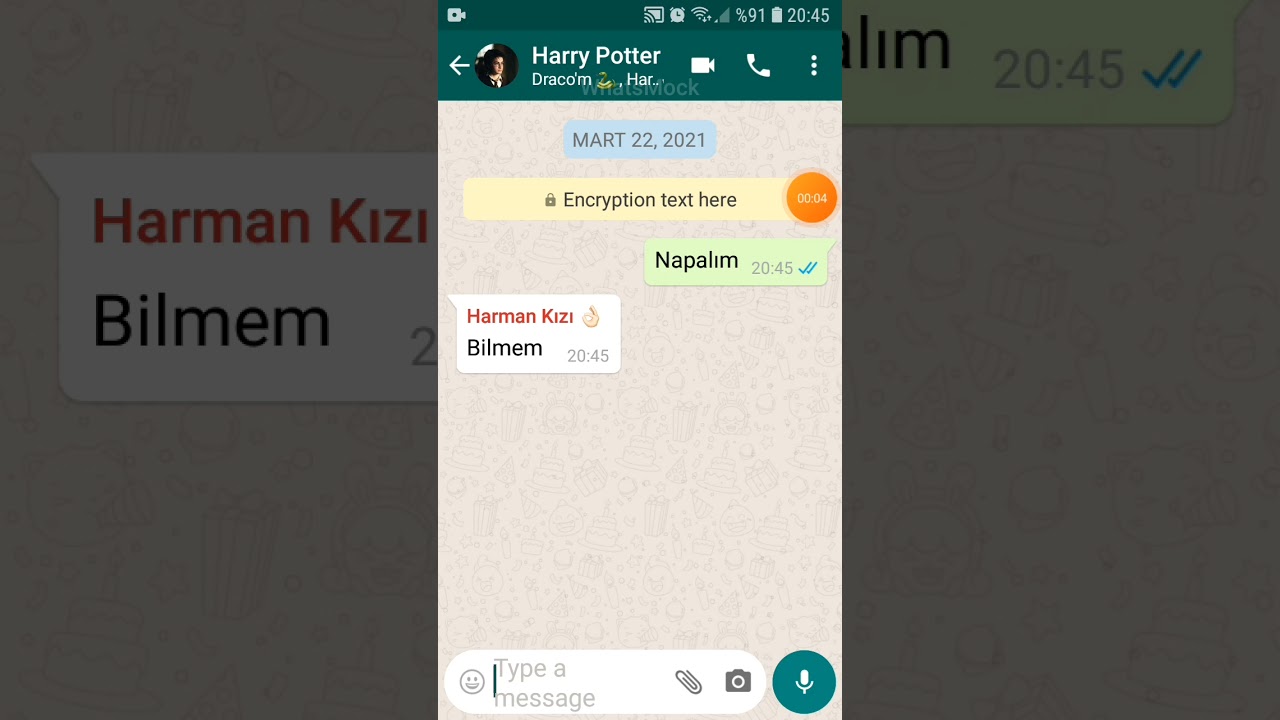 Harry Potter WhatsApp Sohbeti (Ben sana aşıktım)