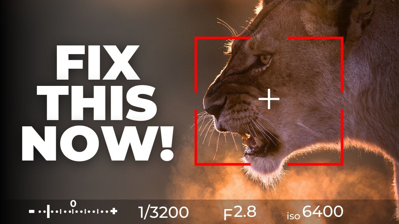 Wildlife Photography MISTAKES Even Pros Still Make!
