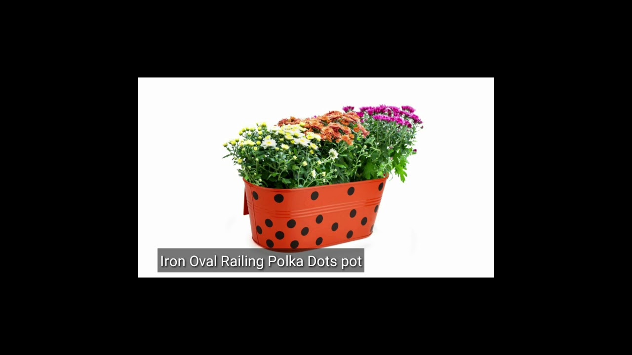 Stunning balcony Railing Planters !! Railing Planters Online India !! CRODOR !!#shorts