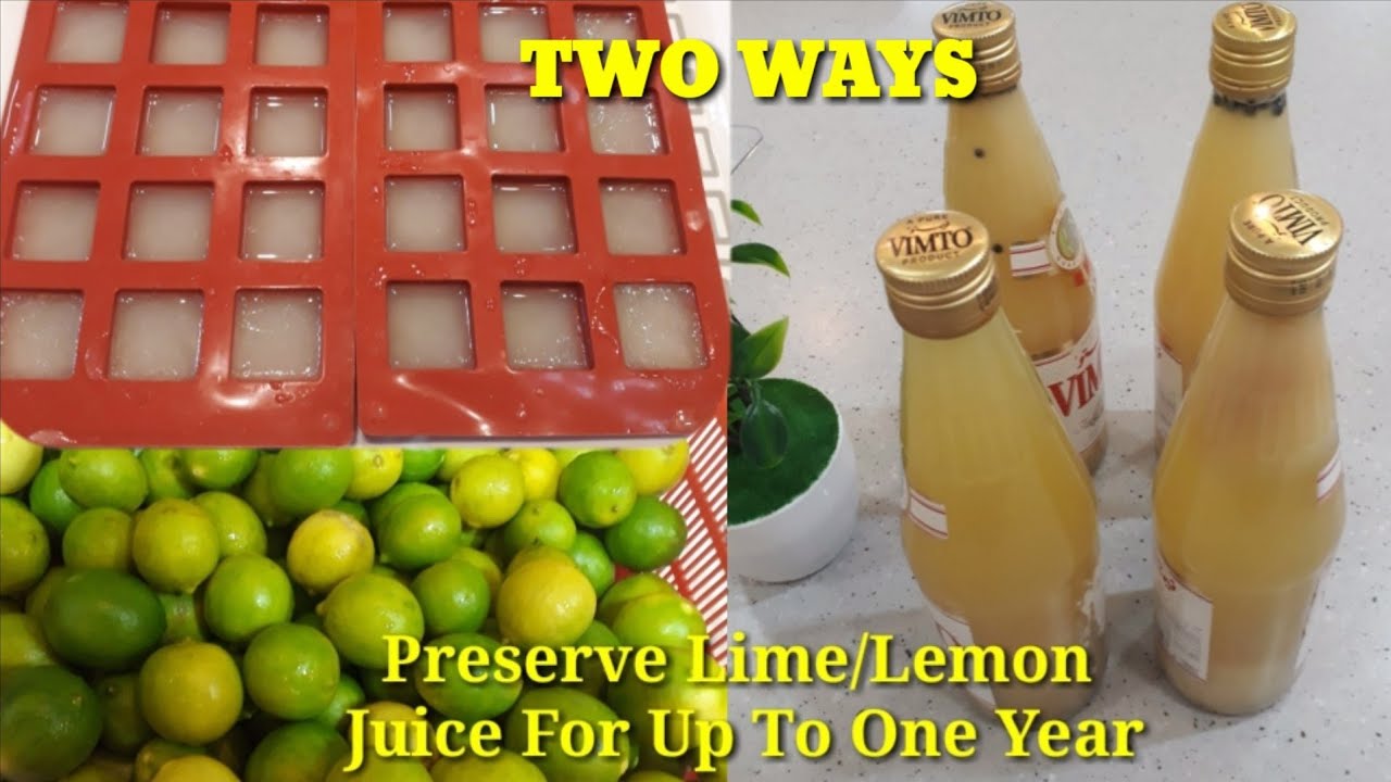 How to Store / Preserve Fresh Lime / Lemon Juice for Long Time - Two Methods