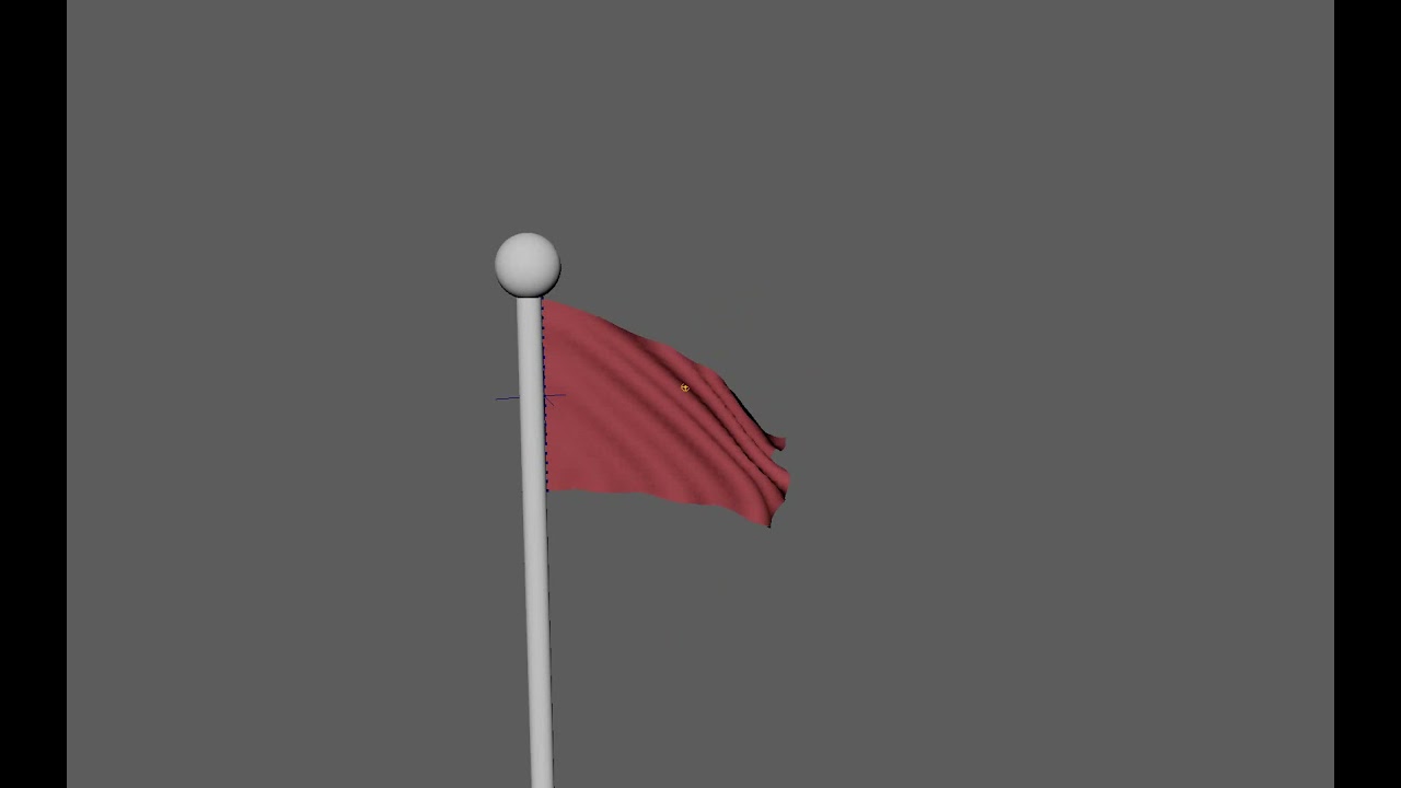 ANI255 Flag