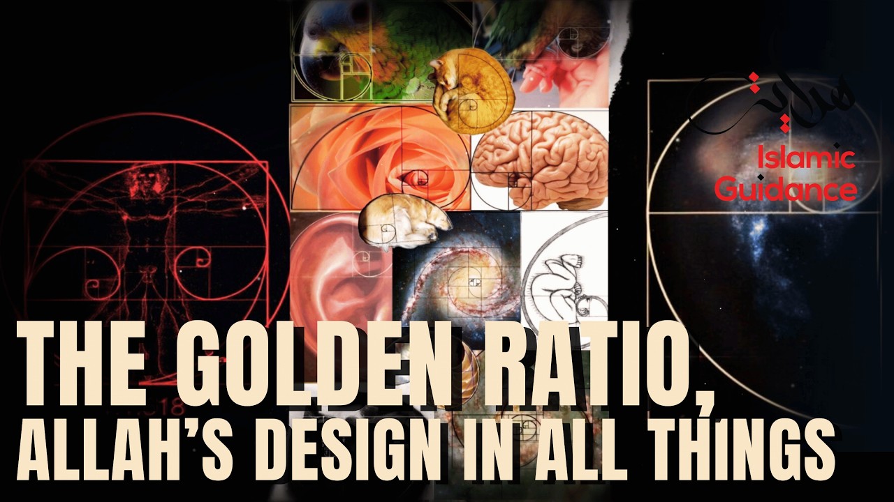 The Golden Ratio, Allah&rsquo;s Design in All Things