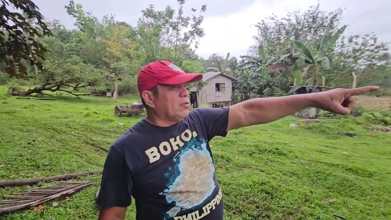 4.9 hectares clean title farm along the river Dagohoy Bohol Philippines 3.5m negotiable