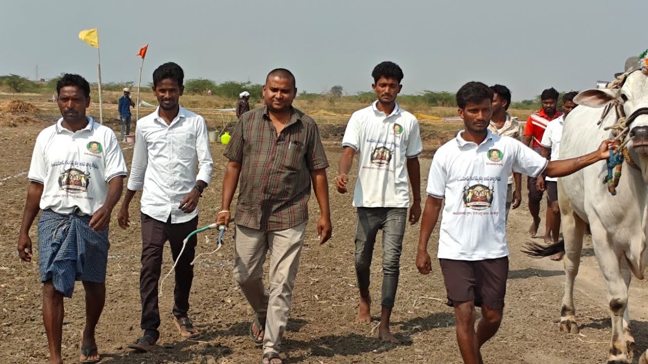 తలపనూరు 6పల్లలో,8వ జత,DCSR‌బుల్స్,