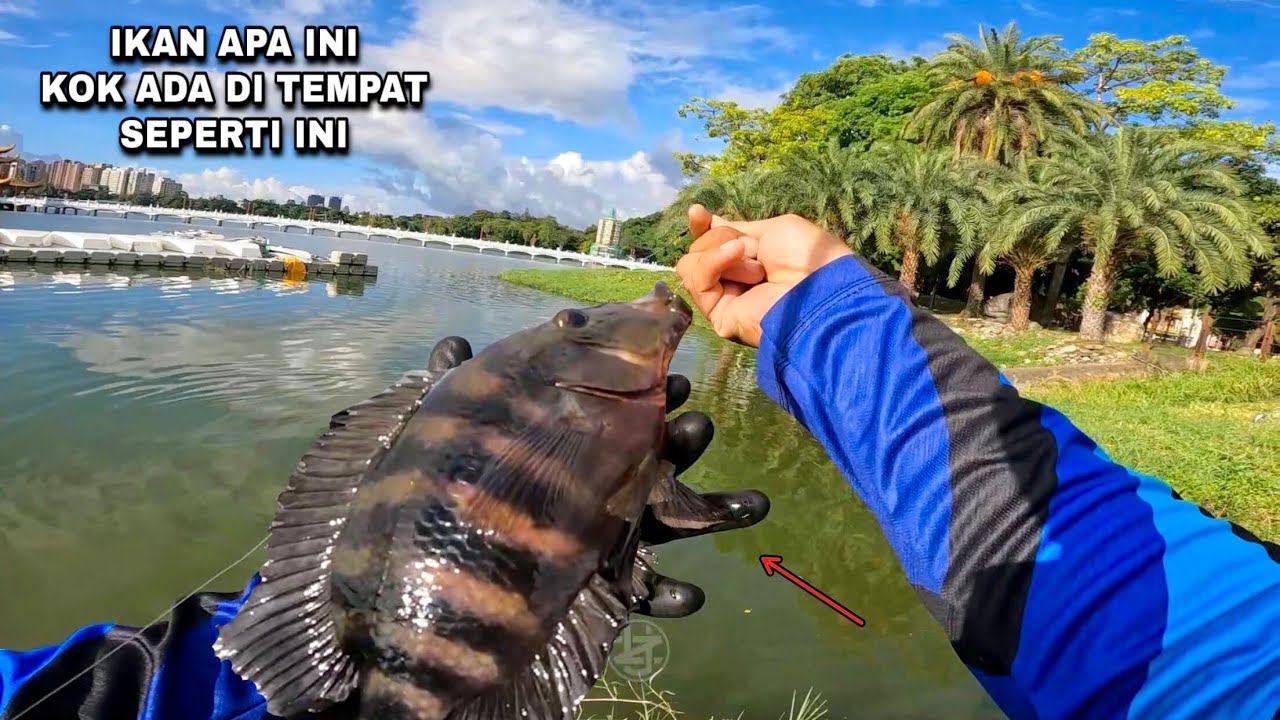 Gak nyangka..! Mancing di danau dewa ikanya banyak