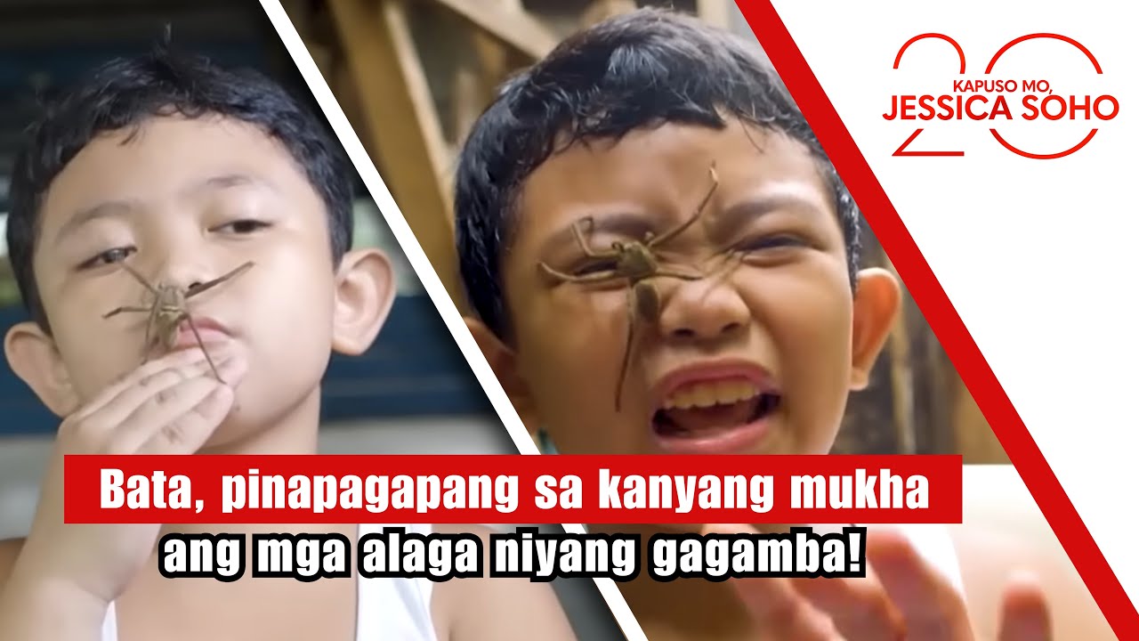 Bata, pinapagapang sa kanyang mukha ang mga alaga niyang gagamba! | Kapuso Mo, Jessica Soho