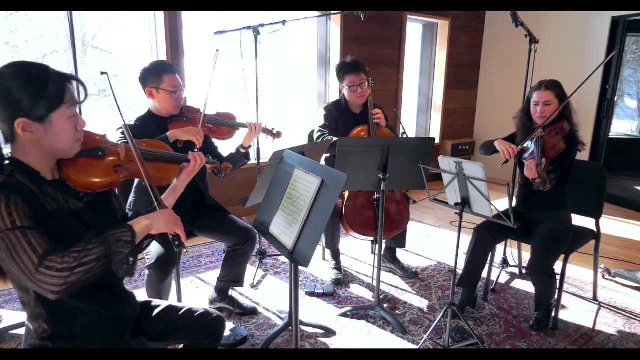 482673, Beethoven, String Quartet No. 8 Op. 59 No. 2, Mvt. II: Molto adagio