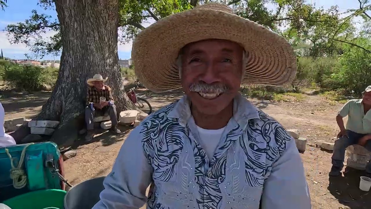 Encontré una pulquería bajo un arbol en Hidalgo
