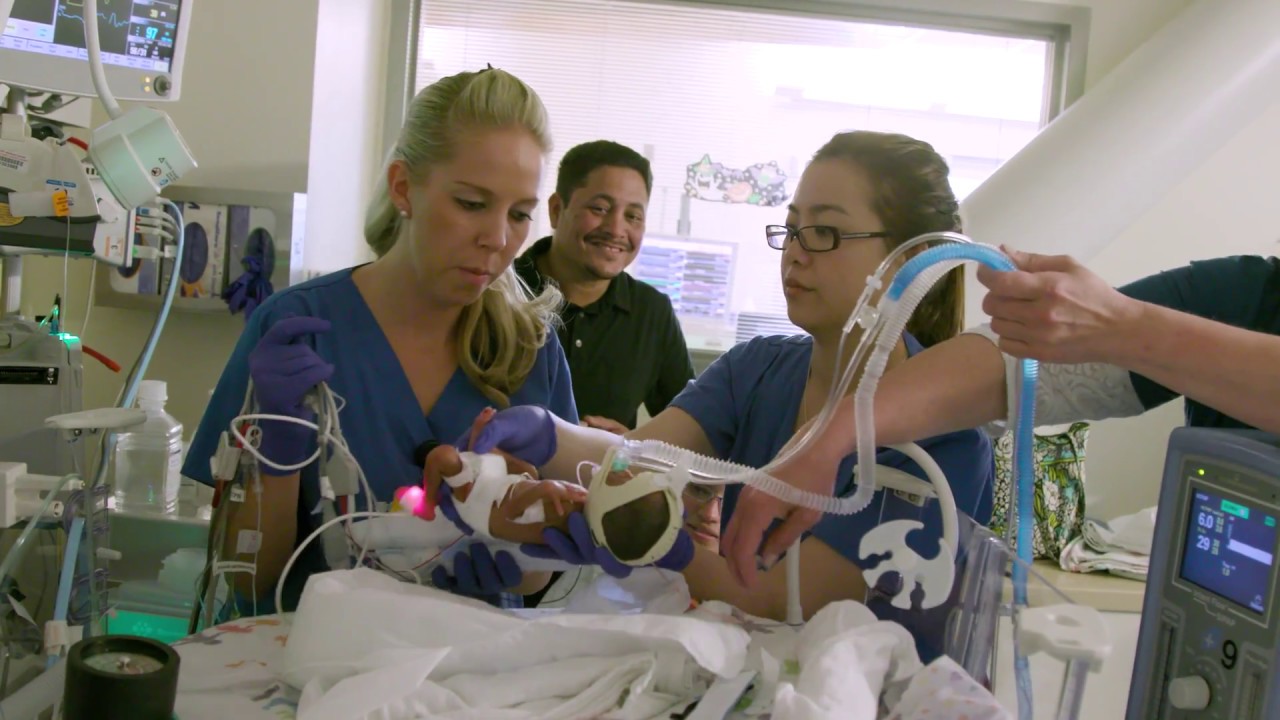 What is the Preterm Birth Initiative?