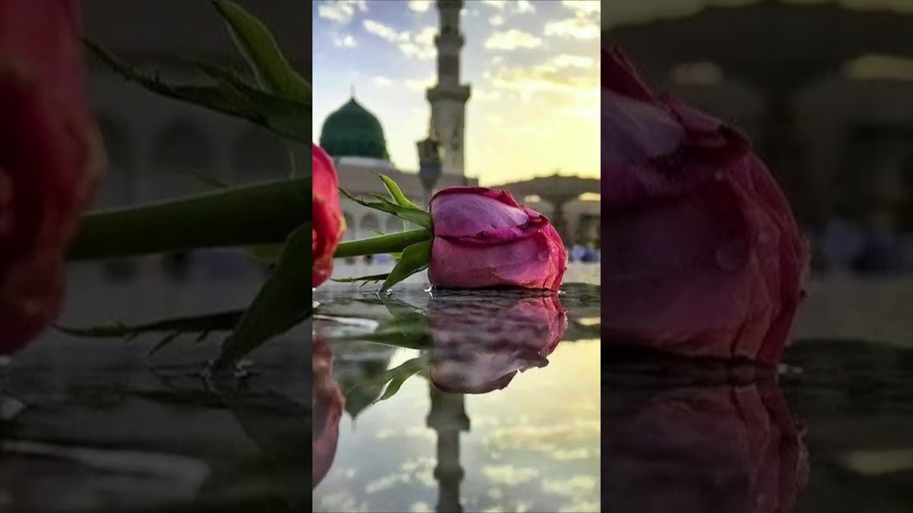 Ey Yarenler Ey Kardeşler & Aşk İle Gelen Erenler Dervişlerin Dilinden 
