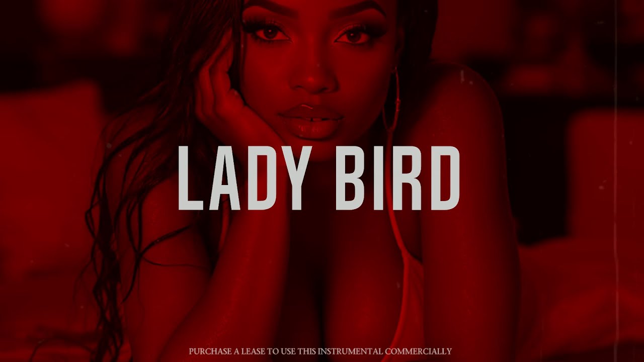 Buju X Ckay X Tems Type Beat 2025 | LADY BIRD | Sad Afro Type Beat | Afrobeat Instrumental