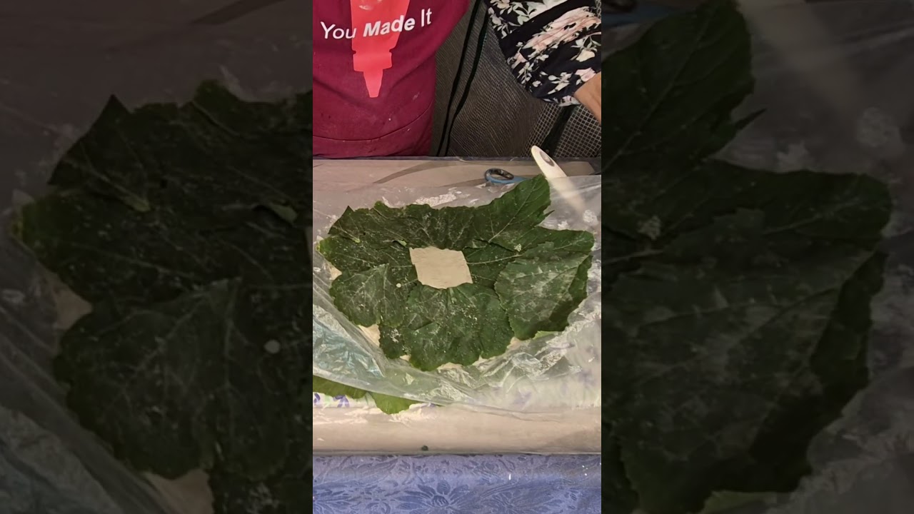 Unique Concrete Leaf Pot with a Base