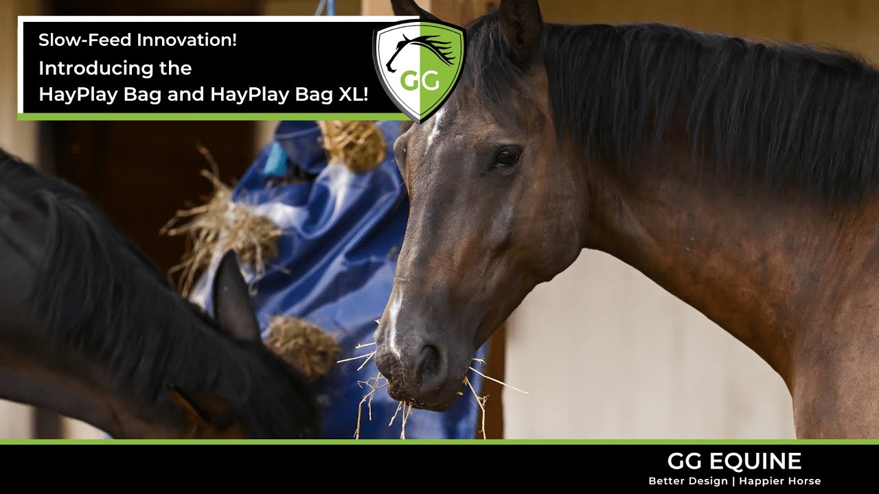 Slow-Feed Innovation for Horses! Introducing the HayPlay Bag