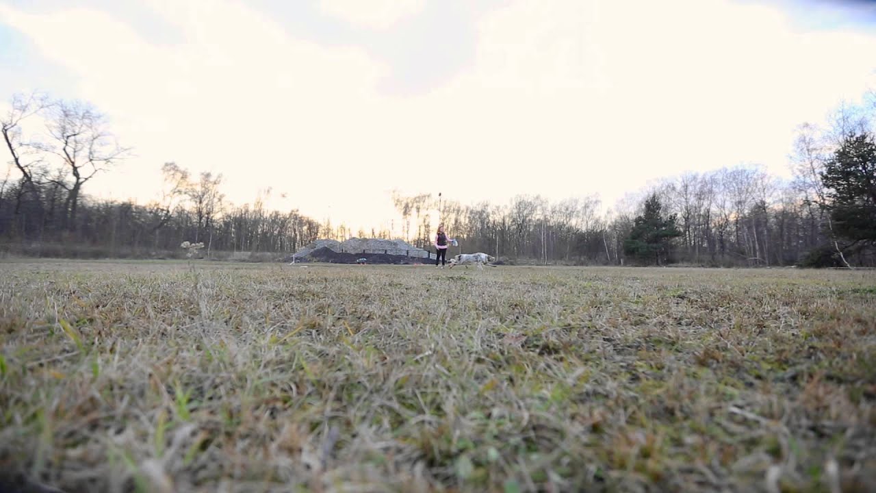 Sorin - frisbee session