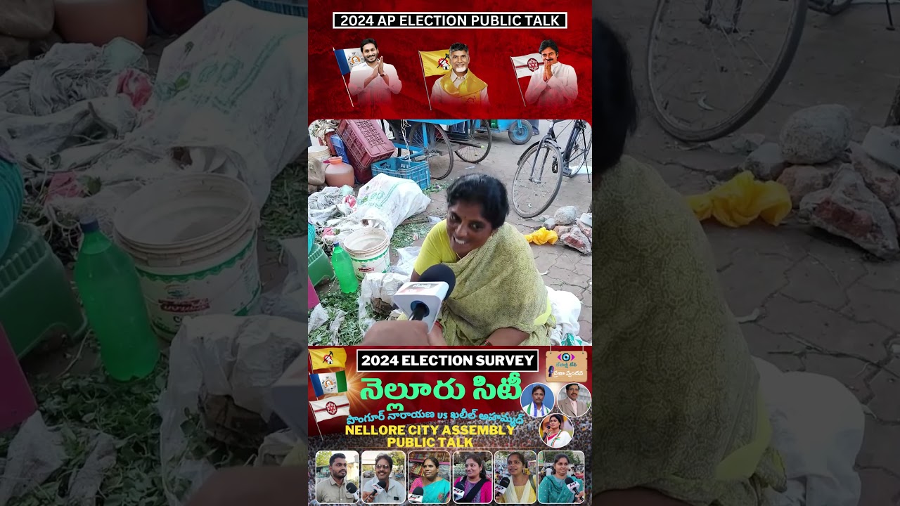 Nellore Public Response | Nellore City Public Talk | AP Elections 2024 | YCP | TDP | JSP | BJP | ...