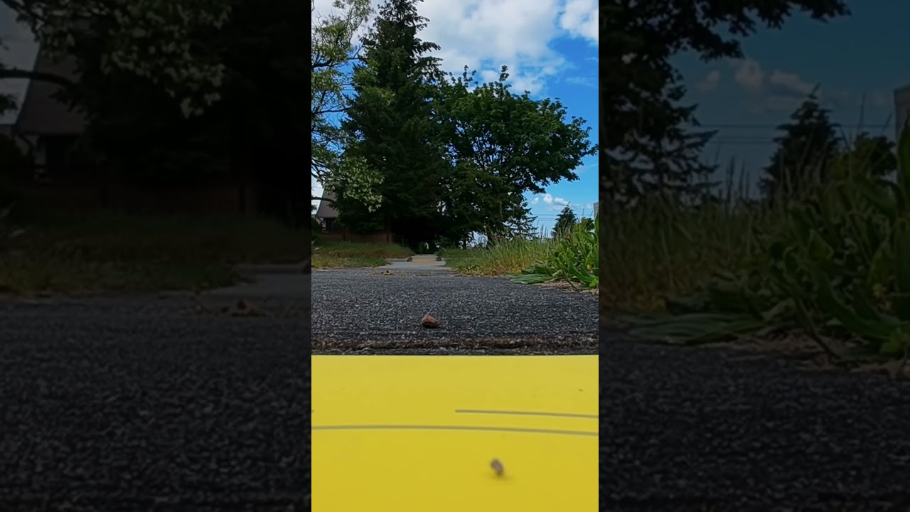 Neos Fatal Crash F*ck R.I.P
