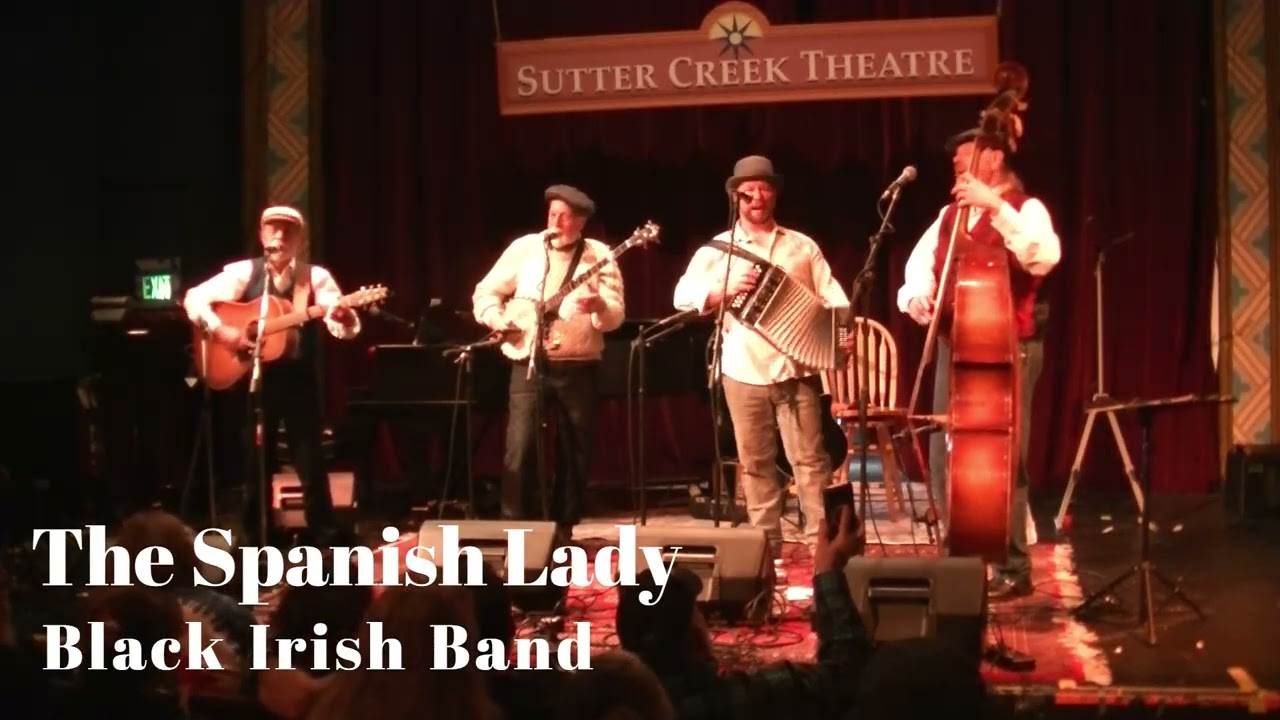 The Spanish Lady live #irishmusic #irishpub #irishsinger #musica #irishtiktok #ireland #musica