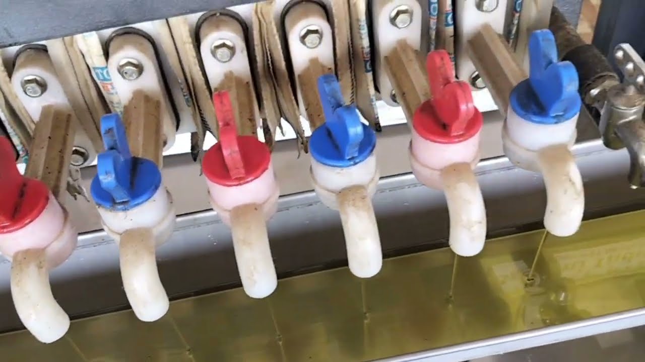 गांव मे Oil Mill Business से कर रहे अच्छी कमाई💯✅ 25 वर्षीय युवा उद्यमी | Cold Press Oil Machine