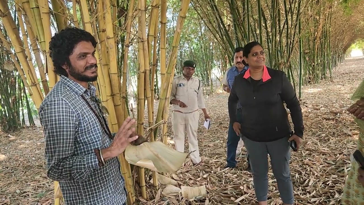 353- O2 Park Bamboo farming, Carbon Credit, Oxygen Park, बांस की अनेक प्रजातियां 9081039222