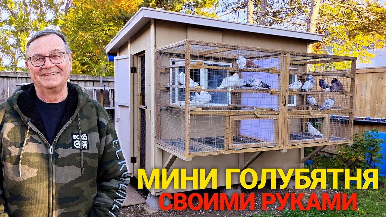 Построил мини голубятню своими руками