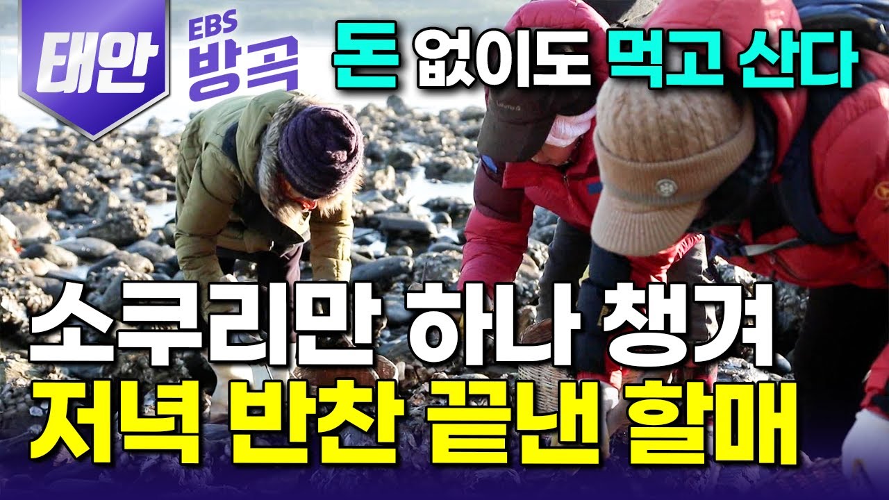 [충남 태안] 