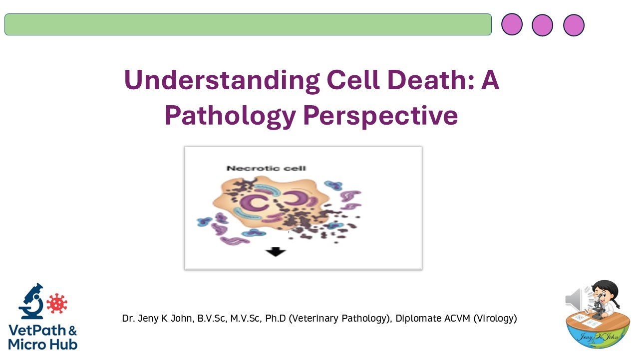 Understanding Cell Death: A Pathology Perspective