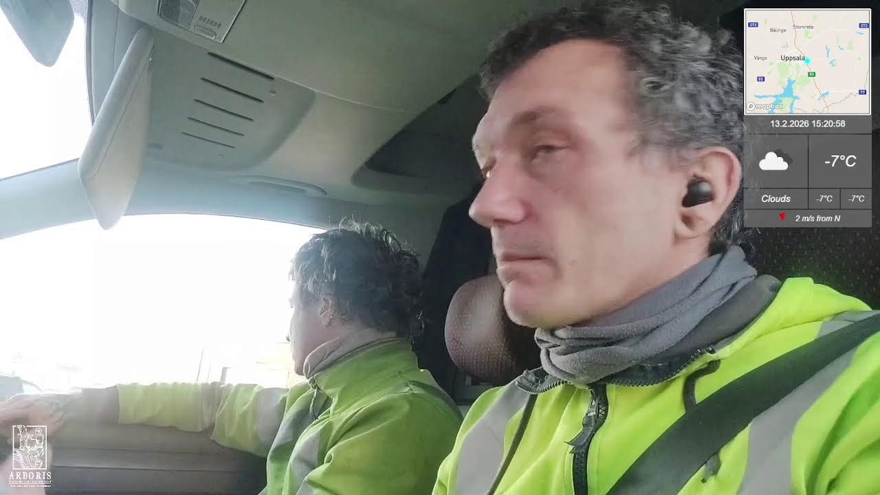 Live treework from Sweden