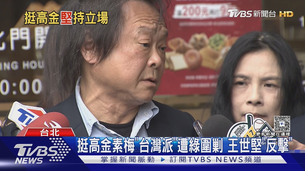 挺高金素梅「台灣派」遭綠圍剿 王世堅「反擊」｜TVBS新聞 @TVBSNEWS01