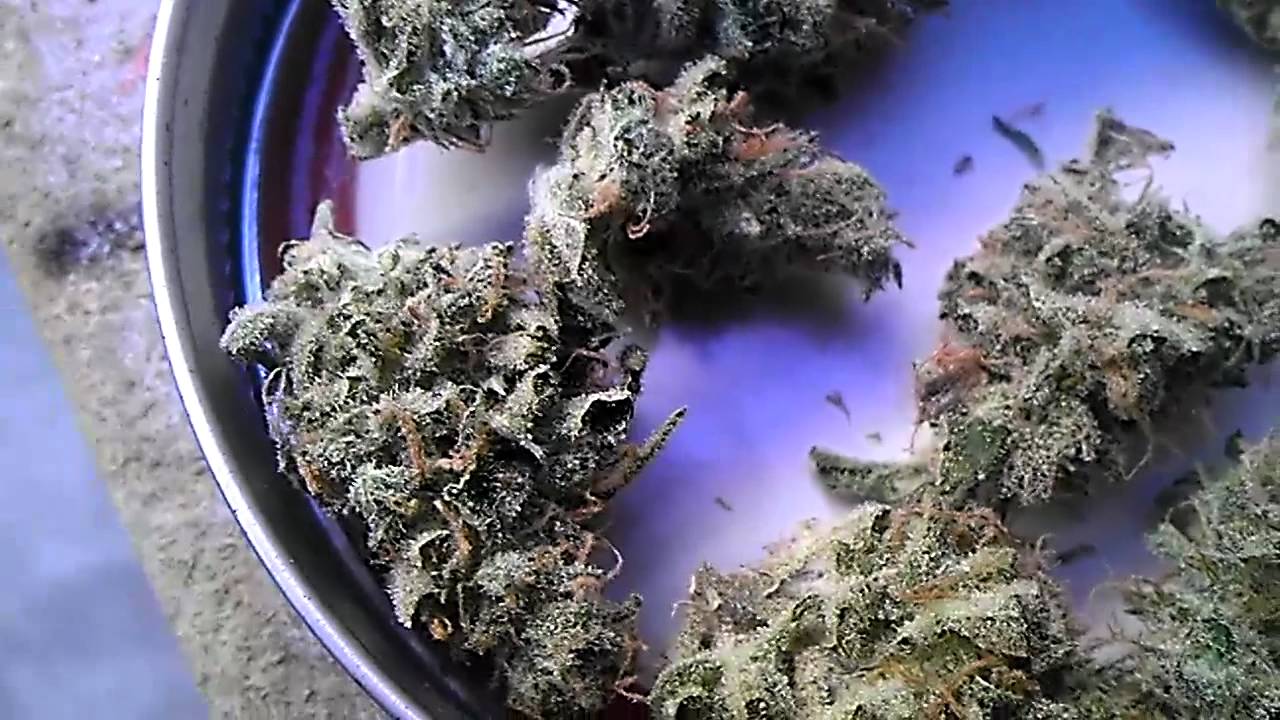 Hd bud shots of Tga's chernobyl