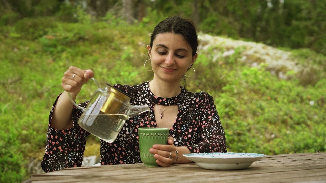 How to find and brew Spruce tea in Sweden 🌲