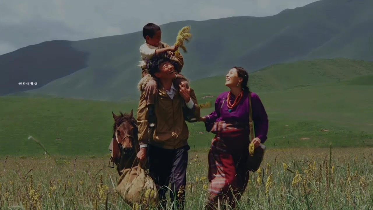 下乡医生，爱上了草原姑娘。《甘南情歌》#电影解说 #电影剪辑 #爱情