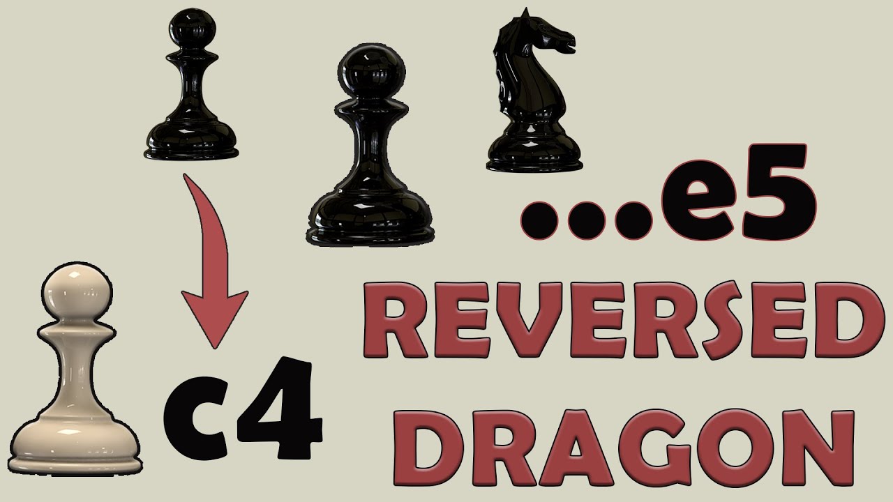 English Opening Reversed Dragon Variation (Chess Openings)