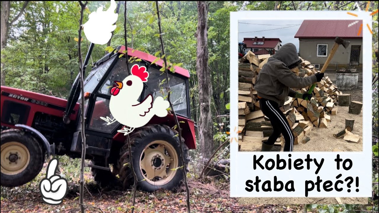 Akcja DRZEWO! Ostra wycinka na dużą skalę od lasu do polana!