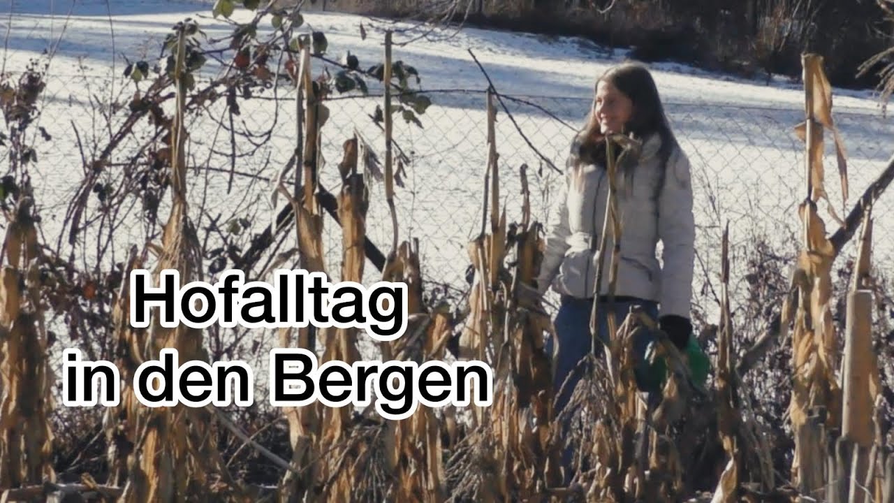 Ruhiges Leben zwischen den Bergen/Hofalltag & Garten im Winter