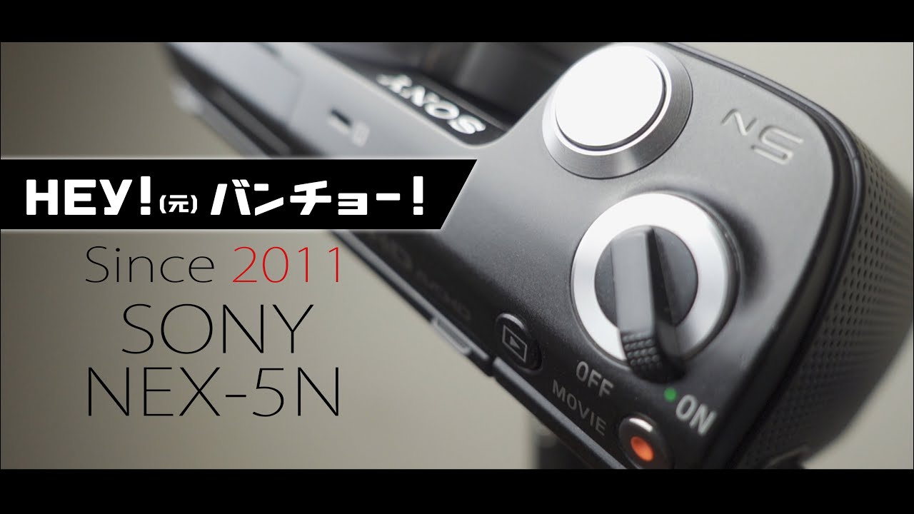 SONY NEX-5Nは高感度だけじゃなく低感度のハイライトもよく粘る優秀な画質!!