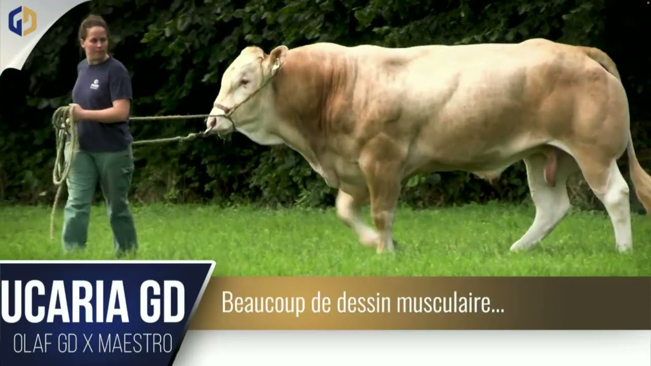 Jeudi 20 • 14h Seenovia Genes Diffusion