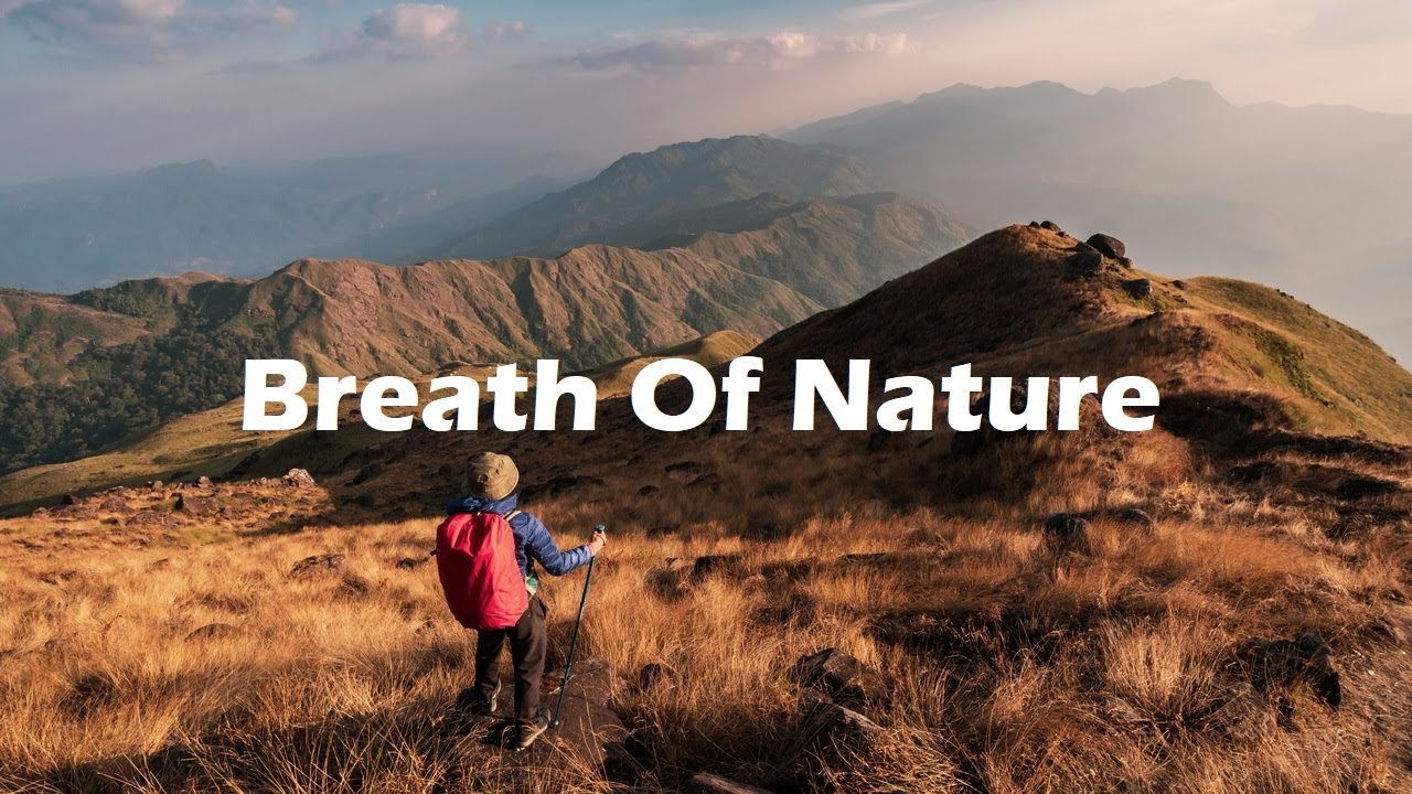 Breath Of Nature - Adventure Background Music (Hiking Music For Mountain Videos)