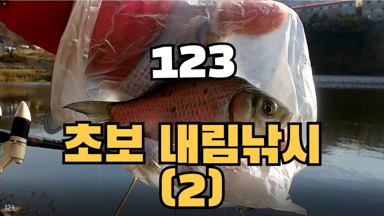 123 - 초보내림낚시(2)