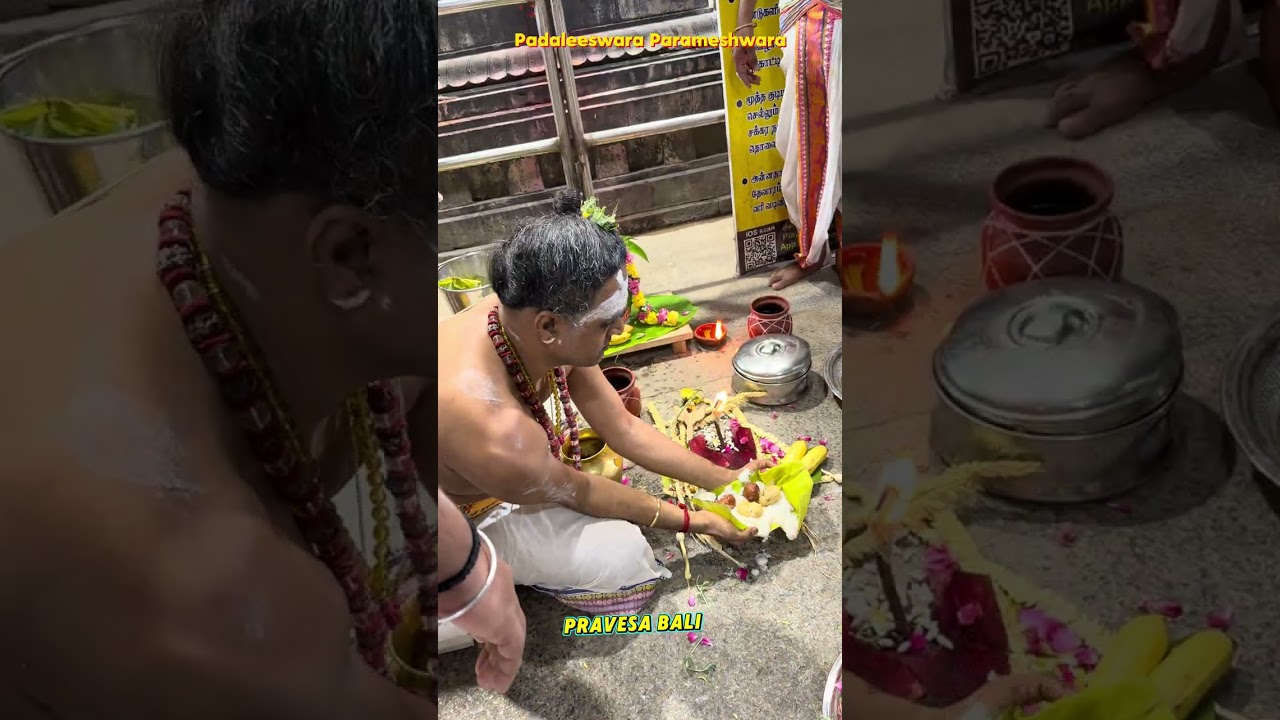பிரவேச பலி ரக்ஷோக்ன ஹோமம் திருப்பாதிரிப்புலியூர் ஸ்ரீ பாடலீஸ்வரர் திருக்கோயில் மஹா கும்பாபிஷேகம் 