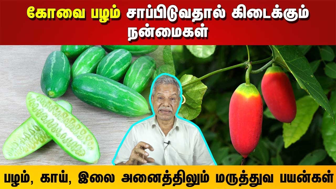 கோவை பழம் சாப்பிடுவதால் கிடைக்கும் நன்மைகள் | பழம், காய், இலை அனைத்திலும் மருத்துவ பயன்கள்