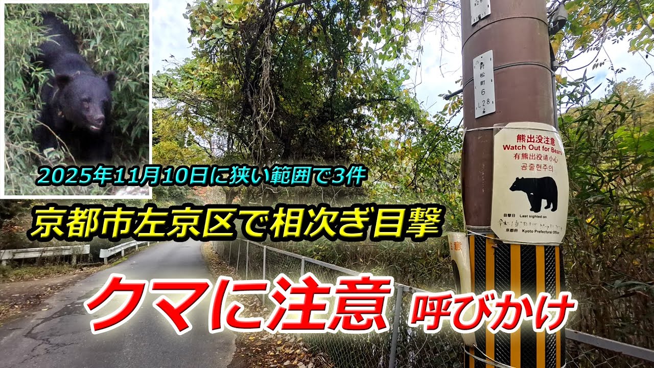 クマの目撃が相次ぐ京都市左京区　叡電岩倉駅近くや公園周辺で出没（2025年11月11日　京都市左京区）Bear sightings continue in Sakyo Ward, Kyoto City