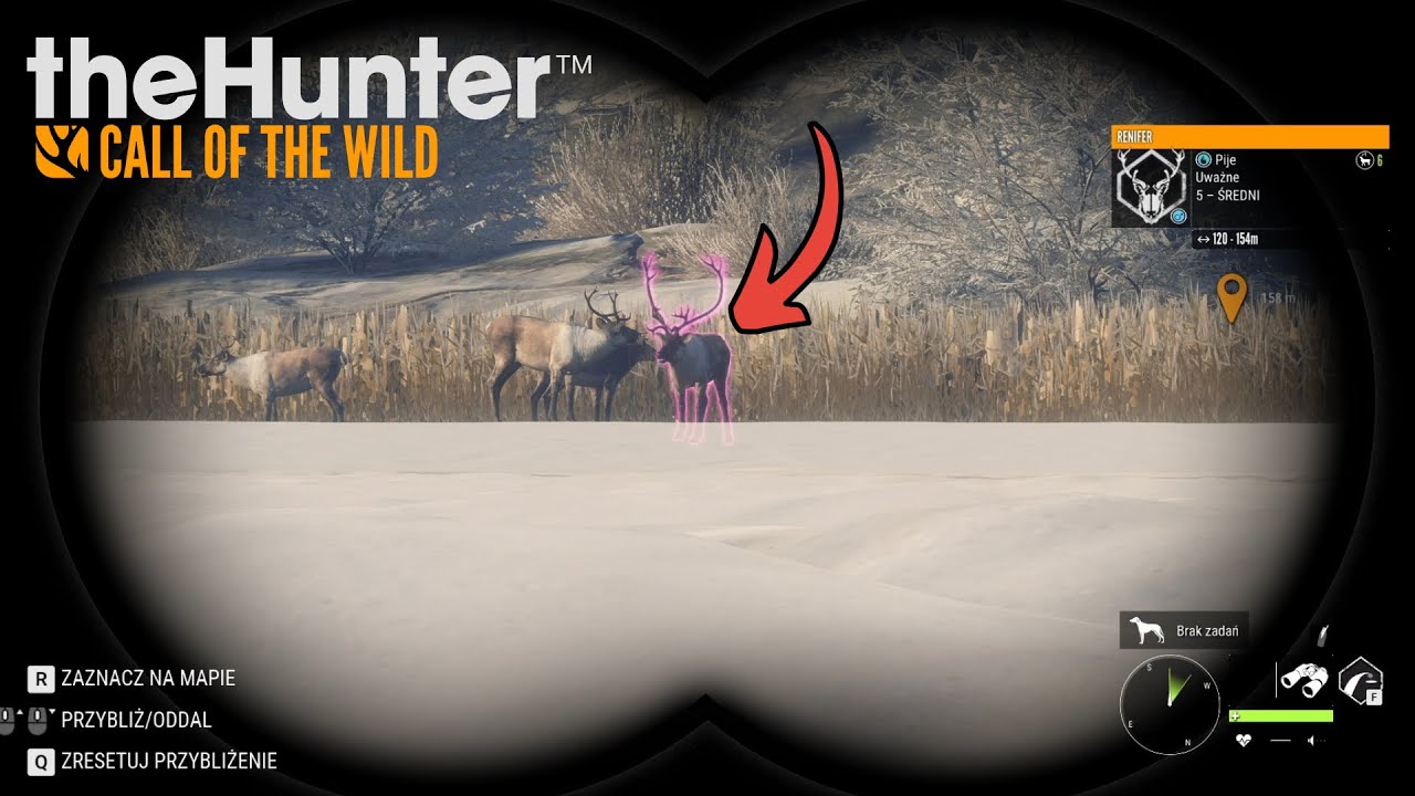 To mógł być diax!! | theHunter: Call of the Wild (#8)