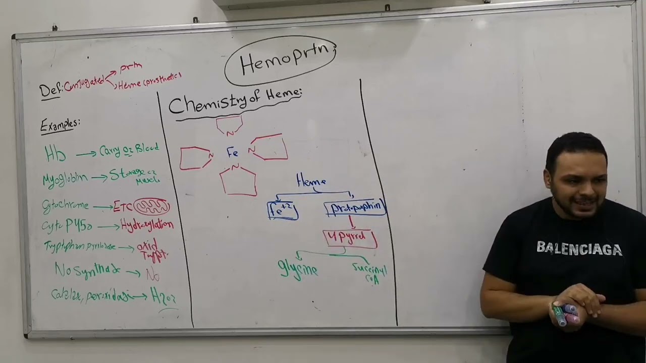 1- Hemoptotein (Hemoglobin & Myoglobin) القصر العينى